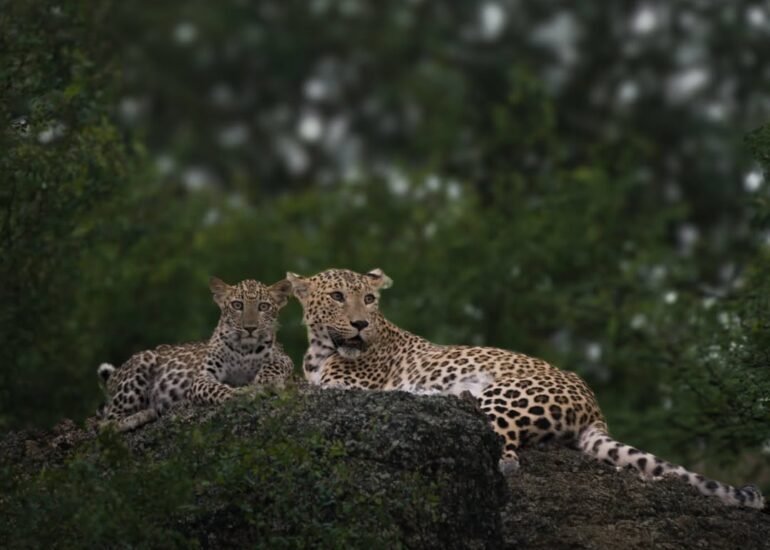 Featured image of blog