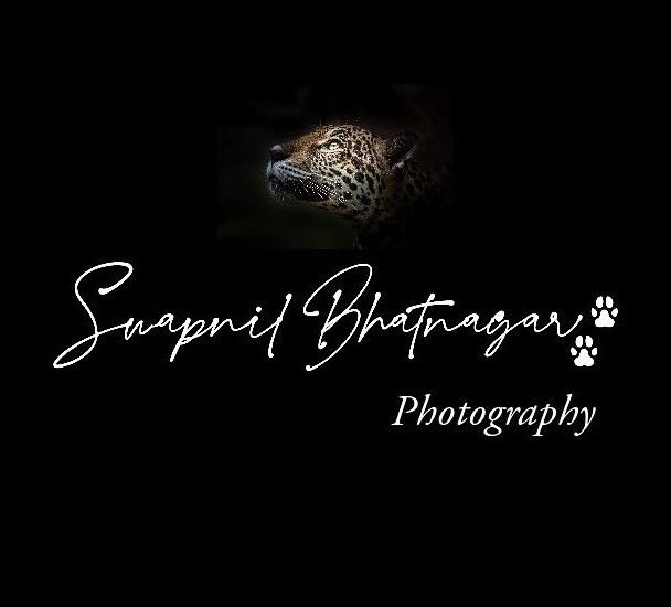 featured image of lesson from wild animals