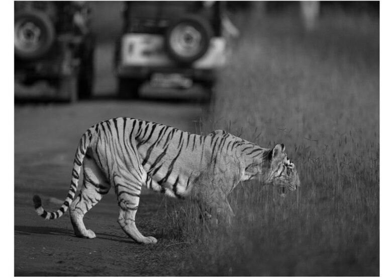 featured image of black and white photography