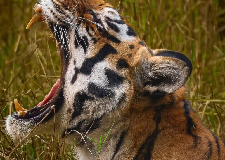 featured image of nature photography